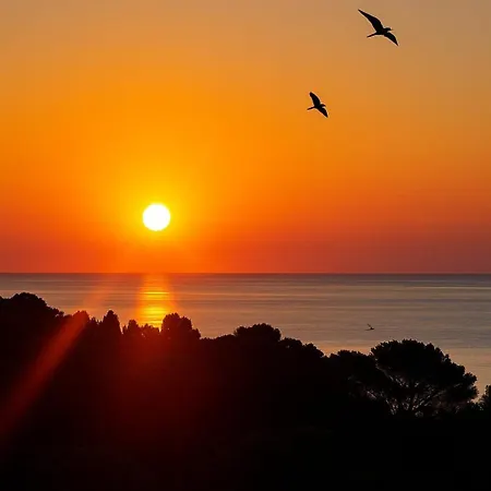 Atico Con Piscina En Ametlla De Mar